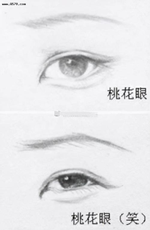 桃花眼和丹凤眼的区别是什么 一、桃花眼和丹凤眼的区别特征详解