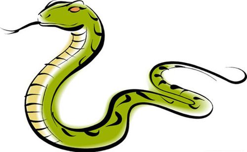属蛇的和什么属相最配 　一、属蛇的和什么属相最配?
