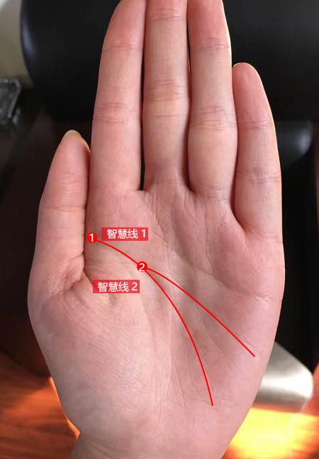 哪些手纹能考研究生 有双重智慧线是高学历手相