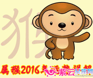2016年属猴的几月出生最好 2016年属猴的其他几个月的命运如何
