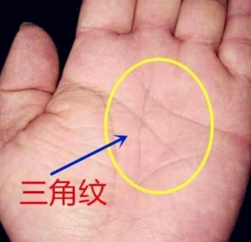 手心三角纹图解怎么看 三角纹在手心的部位