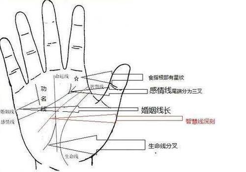 手掌中哪条是婚姻线哪条是感情线 手掌感情线解析