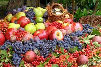 中秋节吃什么水果养生 中秋节的养生水果