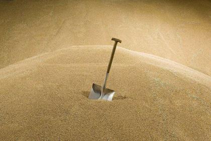 什么是沙中土命 　　什么是沙中土命：