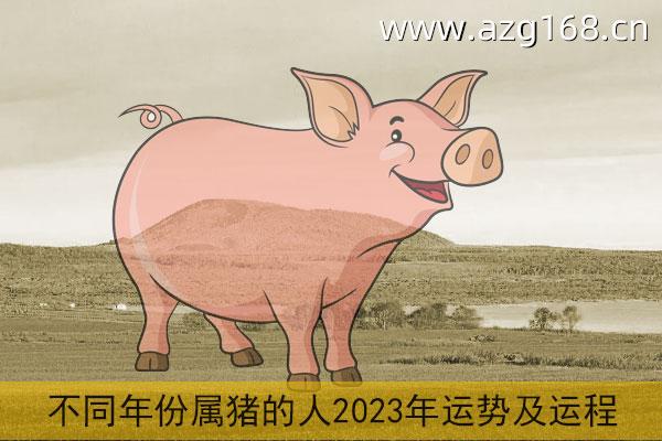 属猪人在2022年运势 2022年肖猪者的事业走向