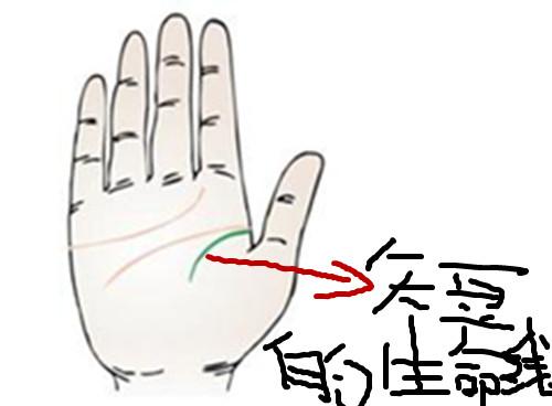 短掌纹有代表什么意思 　　生命线短表示着什么