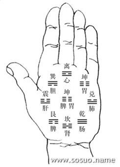 手相十二宫划分 主要掌纹中的八卦十二宫
