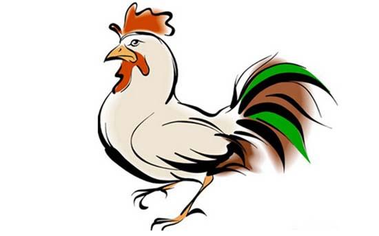 生肖鸡和什么属相最配 属鸡的和什么属相最配?
