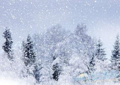 梦见下雪是什么意思 一、梦见下雪的心理学解释
