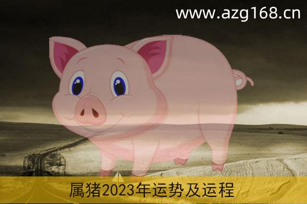 属猪2020年多大了 　　生肖猪不同年份2020年具体岁数
