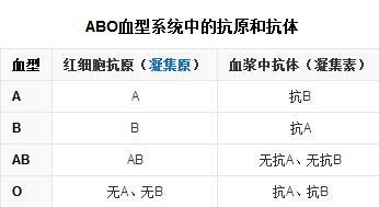 ABO血型是什么意思 ABO血型指一个血型系统