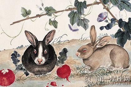 2019年属兔的贵人属相配对详解 一、属兔贵人属相配对分别是：狗、羊、猪