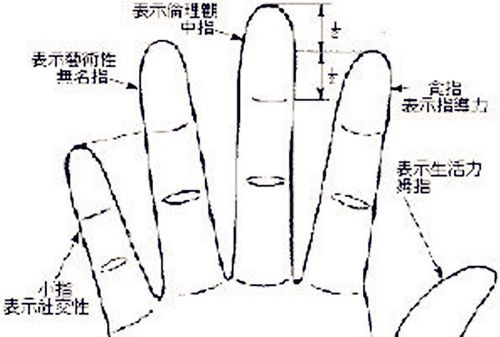 手相中五指长短代表什么个性 　　一、大拇指长短代表的个性