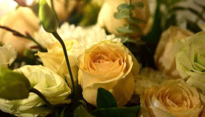 黄玫瑰花语是纯洁的友谊 黄玫瑰花语：纯洁的友谊