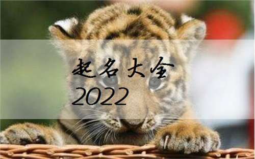 2022年7月出生的虎宝宝取名 有福气的孩子取名大全