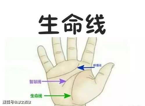 手相生命线能提示身体健康 一、手相生命线与人的健康相关