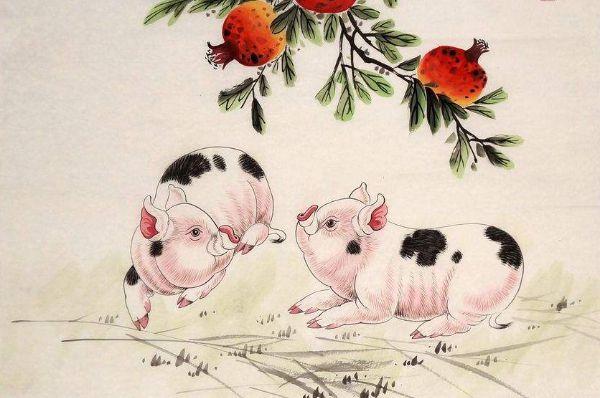 生肖猪在2021的桃花运 生肖猪人2021年的桃花运