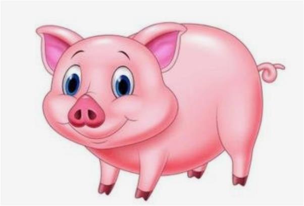 运势在2018年最好的生肖排名 第一名：属猪躺着都能赚钱
