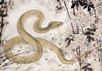 属蛇如何旺桃花 一、属蛇的人想要旺桃花可以去寺庙求一道姻缘符
