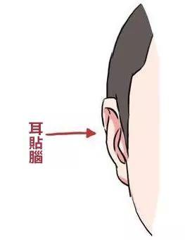 三种有福的耳朵 耳朵厚实轮廓清晰