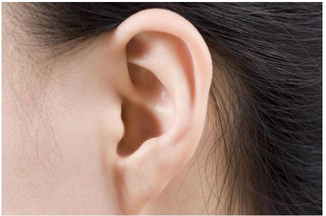女人耳朵小代表什么 　　女性耳朵小命理