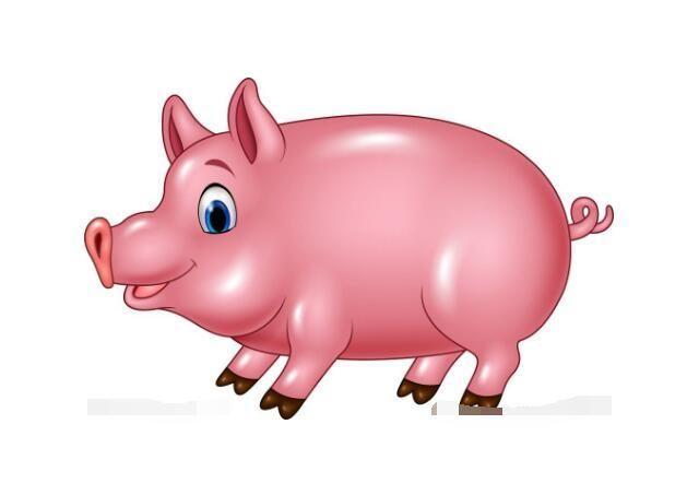 土猪是哪些年份 　　一、属猪的五行