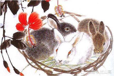 1963年辰时出生的生肖属兔人命好吗 1963年辰时出生的生肖属兔的命运