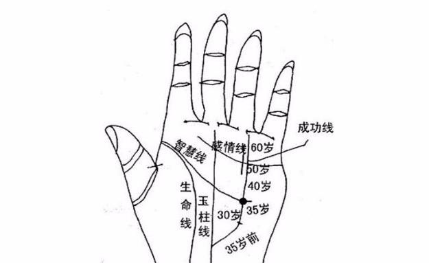木形手的手相特征 一、木形手的手相特征分析