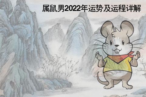 2022年上半年属鼠男感情运 22年上半年鼠男感情走势