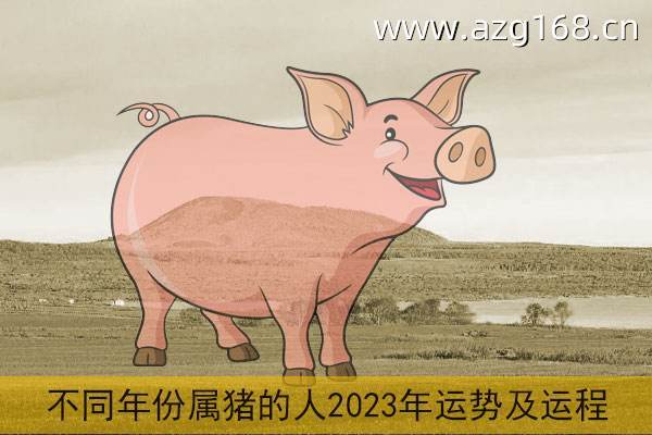生肖属猪的人2021年运程每个月运势全年解析 生肖猪之人在今年的感情运势