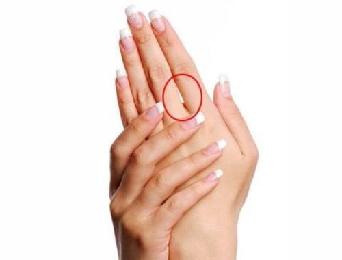 手指关节明显的手相 　　手指关节明显的人特征：