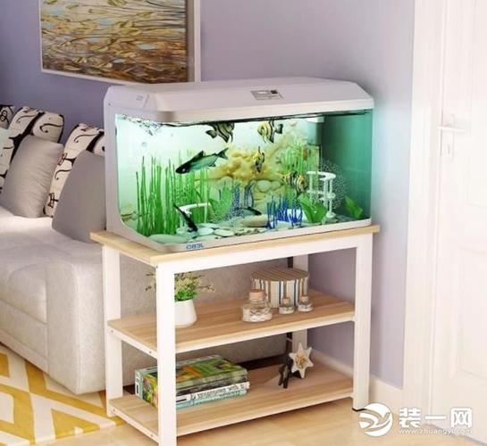 鱼缸放在家里什么位置最好 鱼缸放在家里沙发后面最好