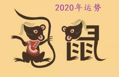 2020鼠年土命人事业运怎么样 2020鼠年土命人事业运