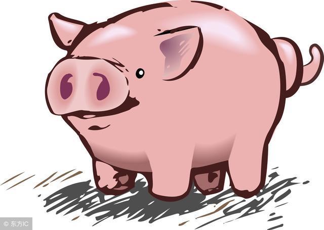2020年生肖属猪的每月运势 生肖猪2020年事业运势