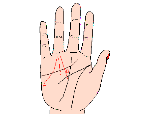 手相成功线分叉代表什么 　　成功线分叉的代表含义：