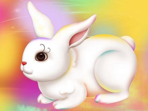 2011年巳时出生的生肖属兔人是什么命 2011年出生的属兔人命运