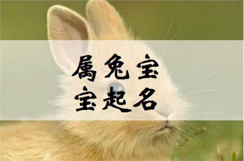 姓杨属兔的男孩名字 寓意极好的兔宝宝名字