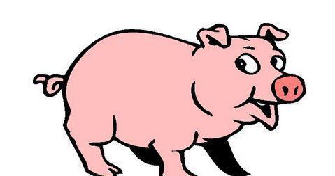 2020鼠年生肖属猪人的感情运如何 生肖猪的婚姻会幸福吗