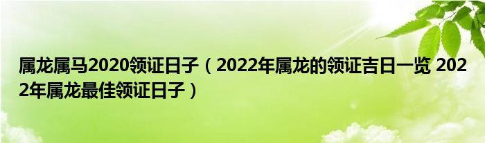 生肖龙2023年领证最佳吉日期