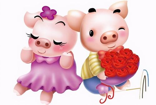 生肖年运：属猪的人2021年情婚姻与爱情运势解析 属猪的人2021年情婚姻与爱情运势解析