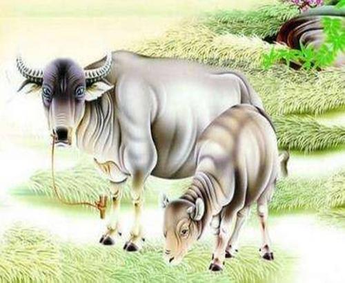 1949年辰时出生的生肖属牛人是什么命 ​1949年辰时出生的生肖属牛人是什么命