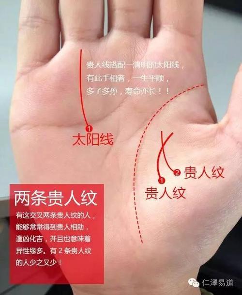 手相活力线图解说明什么 手相一般构成