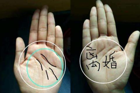 手相解析：女人左手手相代表哪些含义 　　一、手相简析