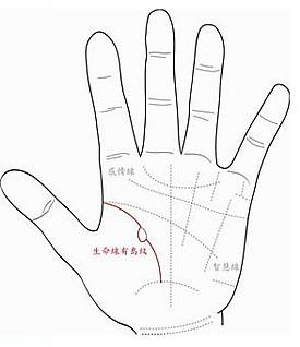 手掌纹怎么看手相图解男 左手手纹之生命线