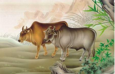属牛的今年多大？属牛是不是都和“大黑牛”一样力大憨厚？ 属牛的今年多大了?(2017)