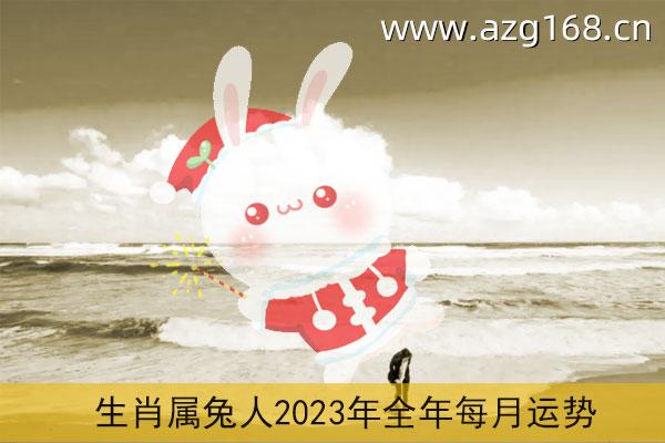 2023年的兔是什么命 2023属兔人什么命