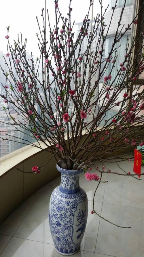 广州人过春节为什么喜欢买桃花 广东人过年摆桃花是为什么