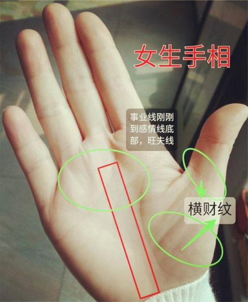 从女生手掌纹路图解 　　女人手相“左右手”含义：