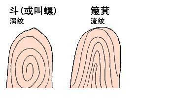 手指螺纹的口诀 　　手指螺纹的说法：