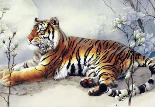2022年五月出生的老虎是什么命 2022年五月出生的老虎运势
